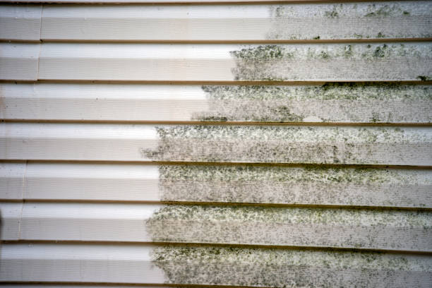 Best Furniture Removal  in East Helena, MT