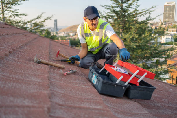 Best Carpet Removal and Disposal  in East Helena, MT