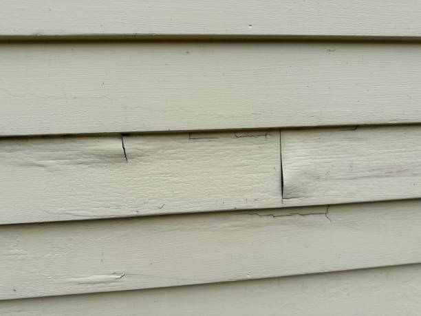 Best Construction Debris Removal  in East Helena, MT